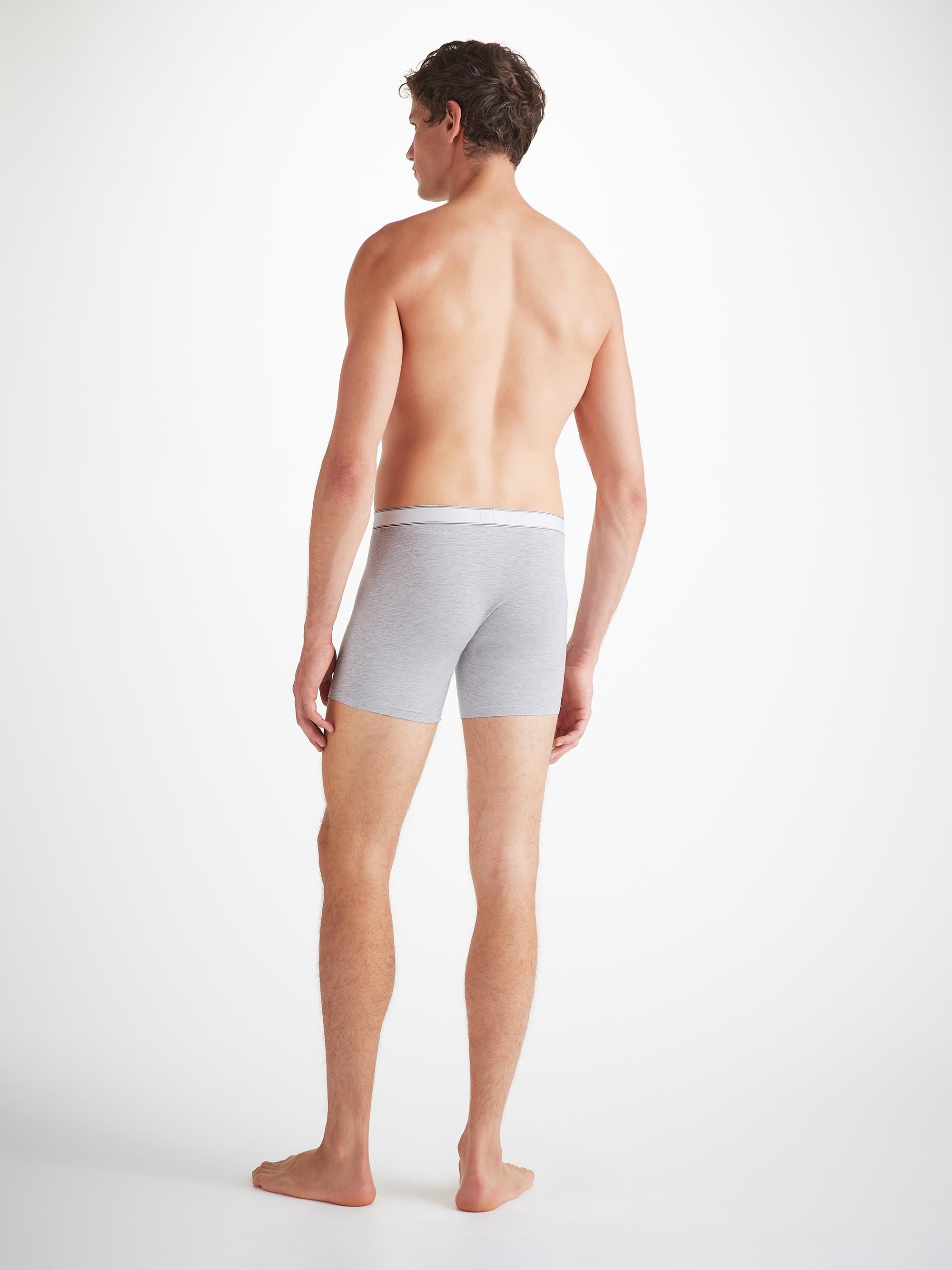 Men's Trunks Ethan Micro Modal Stretch Silver Marl