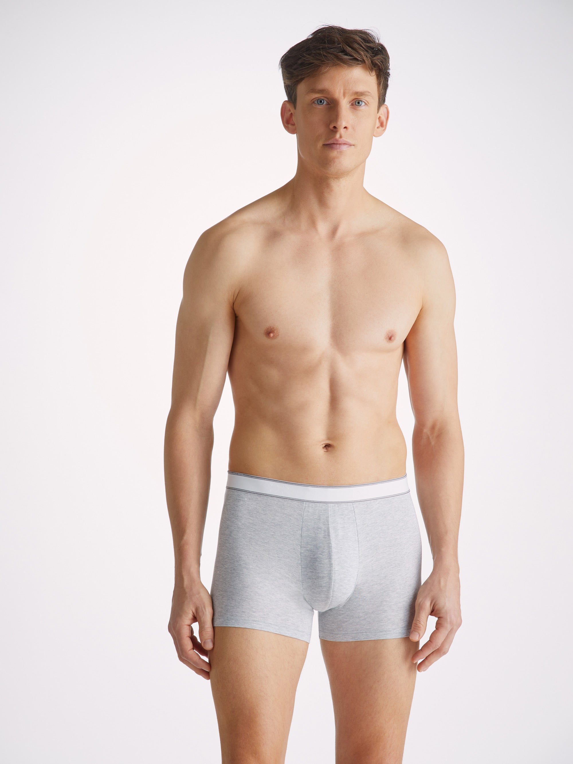 Men's Boxer Briefs Ethan Micro Modal Stretch Silver Marl